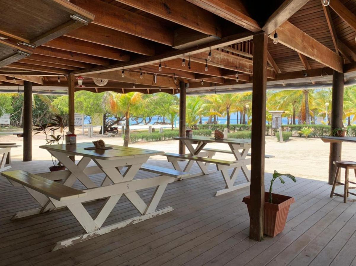 Sea Eye Hotel - Tropical Building Utila Dış mekan fotoğraf