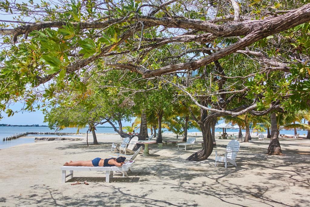 Sea Eye Hotel - Tropical Building Utila Dış mekan fotoğraf